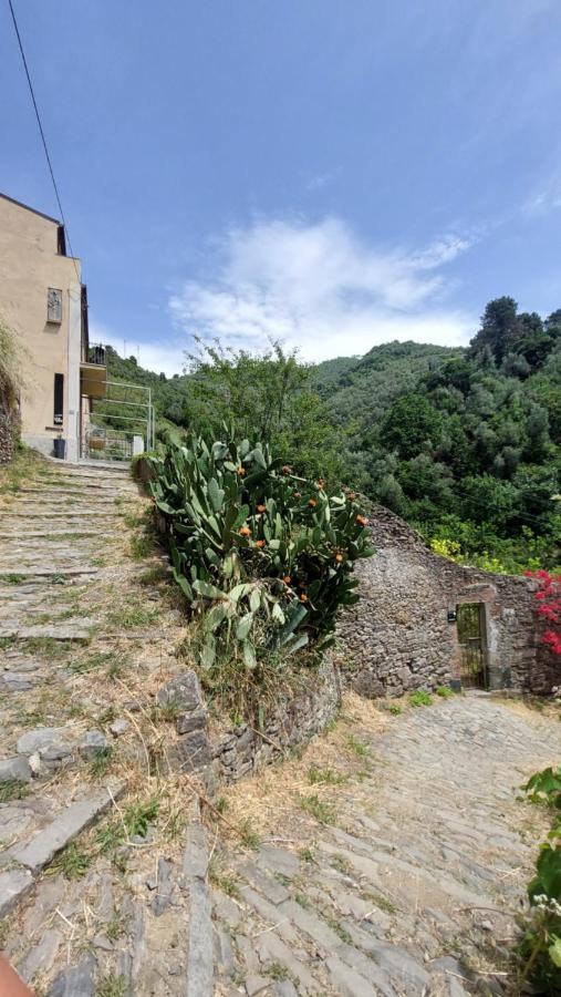 Hotel La Casa Dei Limoni Monterosso al Mare Exteriér fotografie