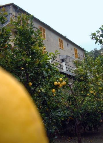 Hotel La Casa Dei Limoni Monterosso al Mare Exteriér fotografie